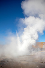 Erupting Hot Geyser Of Steam in El Tatio Geysers field at early morning sunrise, Atacama desert, Chile