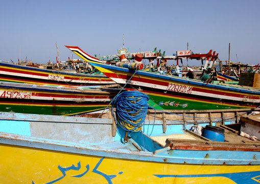 Colourful Dhows In Al Hodeidah, Yemen