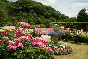 ローズガーデン