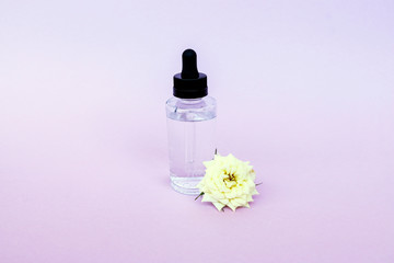 Glass bottle with pipette with oil or serum, with white rose flower on delicate background. Concept: organic bio cosmetics, vegetable oils, serum collagen, skin care