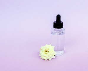 Obraz na płótnie Canvas Glass bottle with pipette with oil or serum, with white rose flower on delicate background. Concept: organic bio cosmetics, vegetable oils, serum collagen, skin care