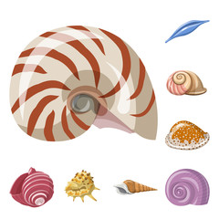 Vector illustration of seashell and mollusk logo. Set of seashell and seafood  stock symbol for web.