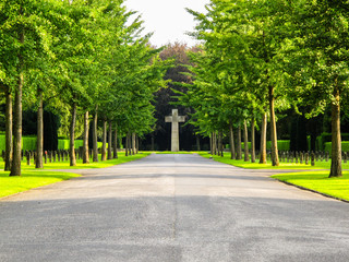 Friedhofsallee mit blick auf Steinkreuz