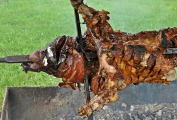 Front view of a part of a rooster pork (barbecue) in the garden.