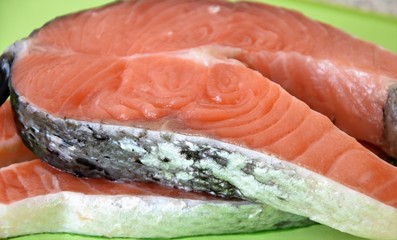 two pieces of raw fish salmon on a green background