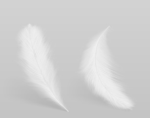 Obraz premium Lying, falling birds clean white, fluffy feathers 3d realistic vector isolated with shadow on grey background. Softness and grace, purity and tenderness concept design element. Lightweight symbol