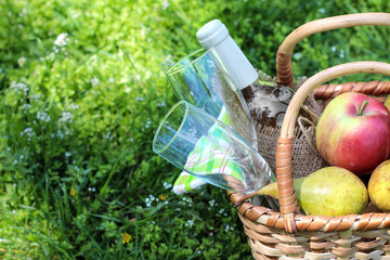 Camping. Picnic in nature. Picnic basket with wine fruit and other products in the thick green...