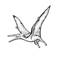 pterodactyl dinosaur sketch engraving vector illustration. Scratch board style imitation. Hand drawn image.