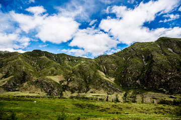 Obraz premium Beautiful Altai mountains in spring