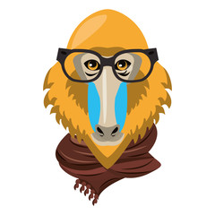 Cool animal with fashion accesories head