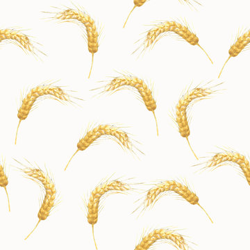 acrylic painted wheat spikelets on white background, seamless pattern