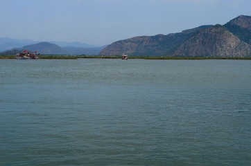 Dalyan River where the Caretta-Caretta turtles live