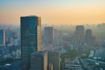 早朝の東京（東京ミッドタウン、赤坂）（撮影は六本木ヒルズ）