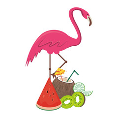 summer beach and vacation cartoons