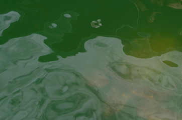 Dalyan River where the Caretta-Caretta turtles live