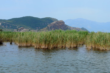 Dalyan River where the Caretta-Caretta turtles live