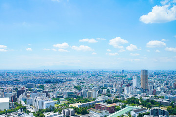 Obraz premium Downtown Tokyo (Nakameguro znajduje się po prawej stronie ekranu)