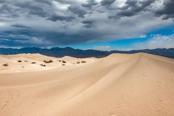Fototapeta na wymiar Mesquite Flat Sand Dunes, Death Valley National Park, California, USA