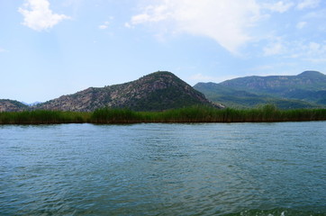 Dalyan River where the Caretta-Caretta turtles live