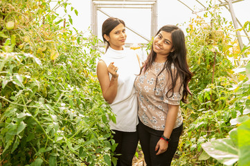 attractive Indian girls posing in garden in greenhouse with tomatoes and vegetables..Closeup...