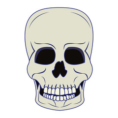 Skull human skeleton cartoon isolated symbol blue lines