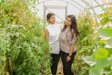 attractive Indian girls posing in garden in greenhouse with tomatoes and vegetables..Closeup...