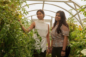 attractive Indian girls posing in garden in greenhouse with tomatoes and vegetables..Closeup...