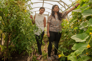 attractive Indian girls posing in garden in greenhouse with tomatoes and vegetables..Closeup...