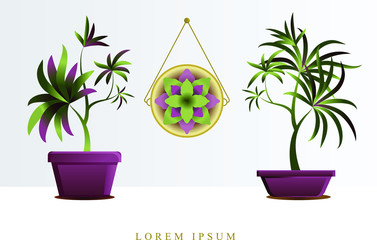 Vector image of flowers, plants in pots for registration of posts in social networks