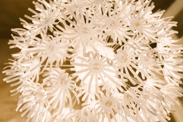 paper lampshade with pearl beads, macro