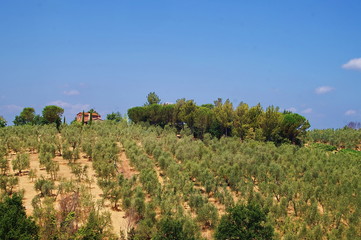 Panorama of the countryside around Vinci, Tuscany, Italy