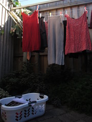 Wet clothes hanging on laundry lines