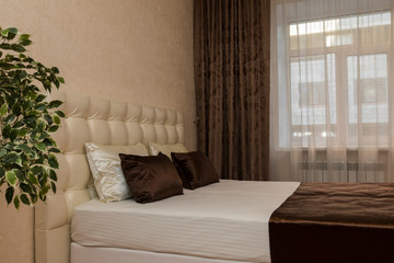 Interior items, kitchen, bed, chair for your apartment or house
