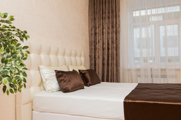 Interior items, kitchen, bed, chair for your apartment or house