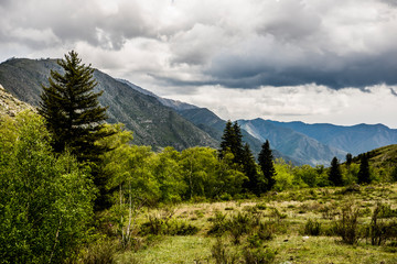 Beautiful Altai mountains in spring