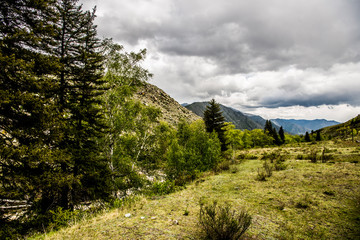 Obraz premium Beautiful Altai mountains in spring