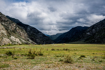 Beautiful Altai mountains in spring