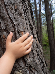 girl touching tree