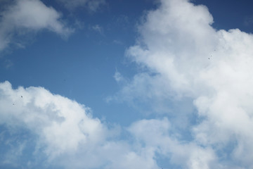 Abstract blue background with white cloud
