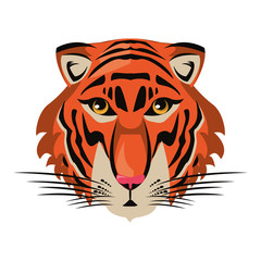 Obraz premium Tiger wildlife animal head cartoon isolated