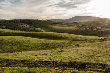 Fototapeta premium Landscape of Zlatibor Mountain. Green meadows and hills under blue sky with clouds in springtime