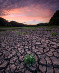 Wayho Summer drought
