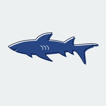 Shark Flat Line icon.For web design.Vector Illustration