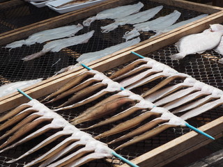 A view of fish market in Hitachinaka city, Ibaraki prefecture.  This town faces the Pacific Ocean and we can eat delicious seafood.