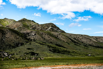 Obraz premium Beautiful Altai mountains in spring
