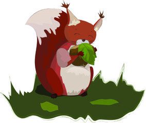  little squirrel with hazelnut
