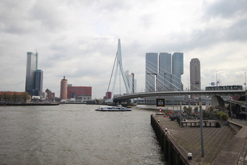 Fototapeta na wymiar Skyline of Rotterdam with buildings at the Erasmusbrug over river Nieuwe maas