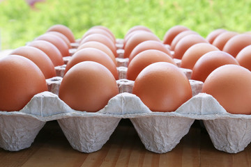 Free-range eggs with brown eggshell in cardboard packaging against green background with vegetation