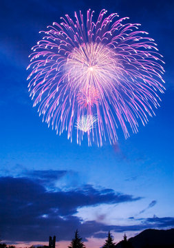 神明の花火photos Royalty Free Images Graphics Vectors Videos Adobe Stock