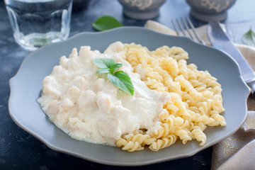 Fricassee, chicken meat in a creamy sauce, with pasta, horizontal